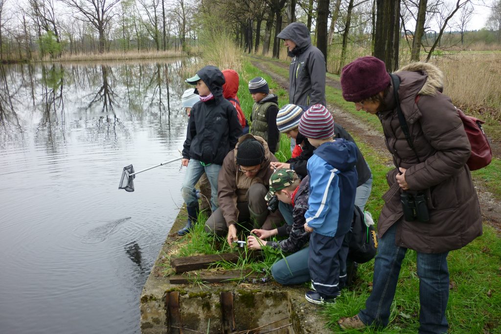 Grundschule keschern