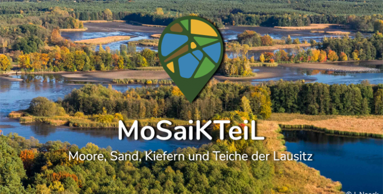 Teichlandschaft Mosaikteil