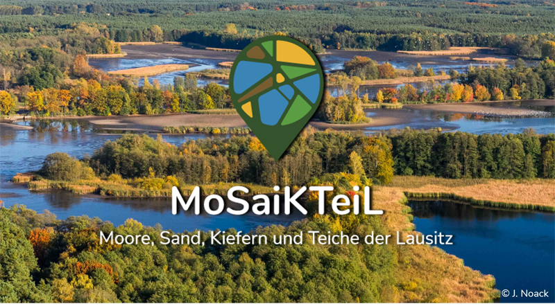 Teichlandschaft Mosaikteil